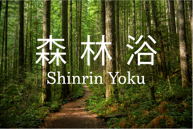 Titelbild eines schönen Waldweges mit chinesischen Schriftzeichen